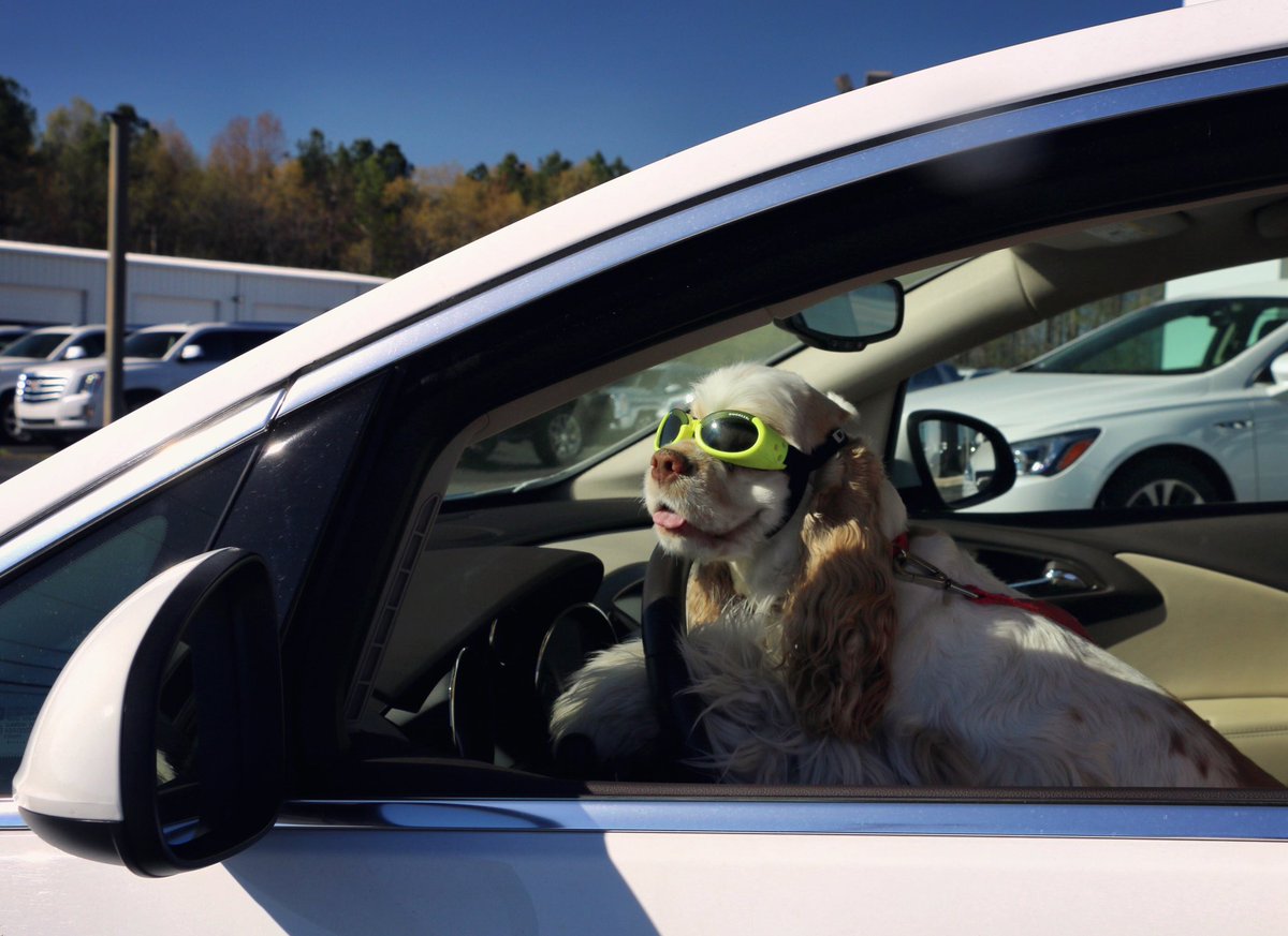 DevanLoweInc's tweet photo. We're on our way! 🚗#DevanLoweHonorRoll #CarGiveaway #Announcement #KeysTheCocker https://t.co/AIPv2MQALi