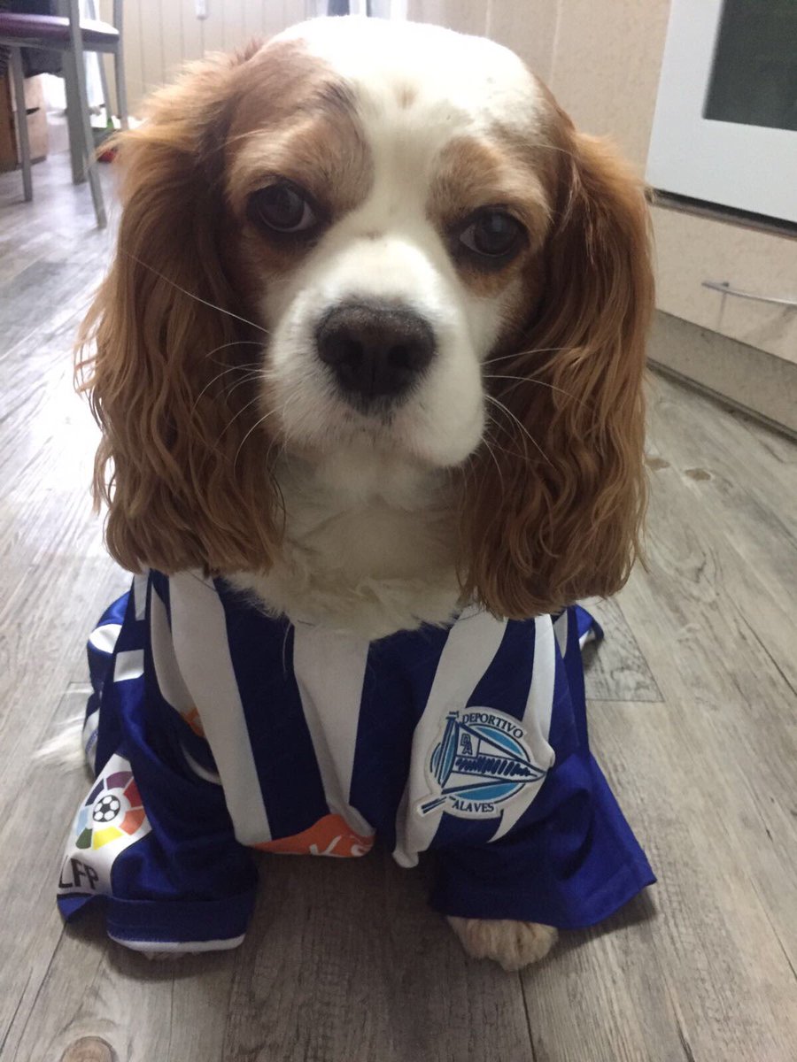 Uko del #alaves de toda la vida..