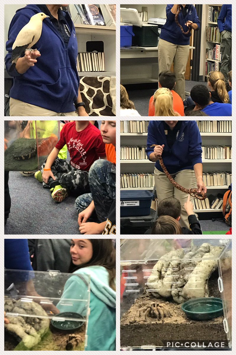 DebbieGatrel's tweet photo. Zoo mobile visit to wrap up our ZooEd program! @MS_ESSD40 https://t.co/cx4TBUwwuw