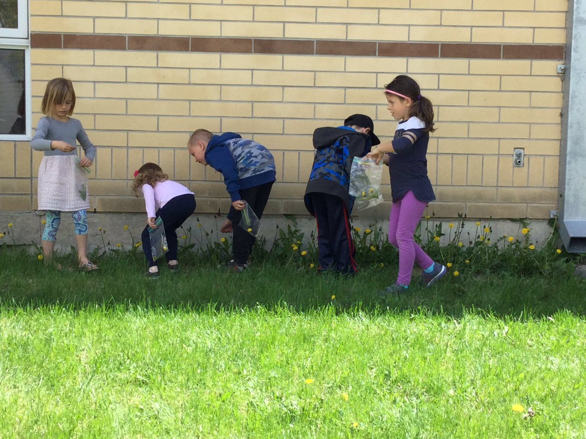 MsBottrell's tweet photo. Exploring outside! Our tree is growing leaves! #seshsd https://t.co/qJIP8L6kst