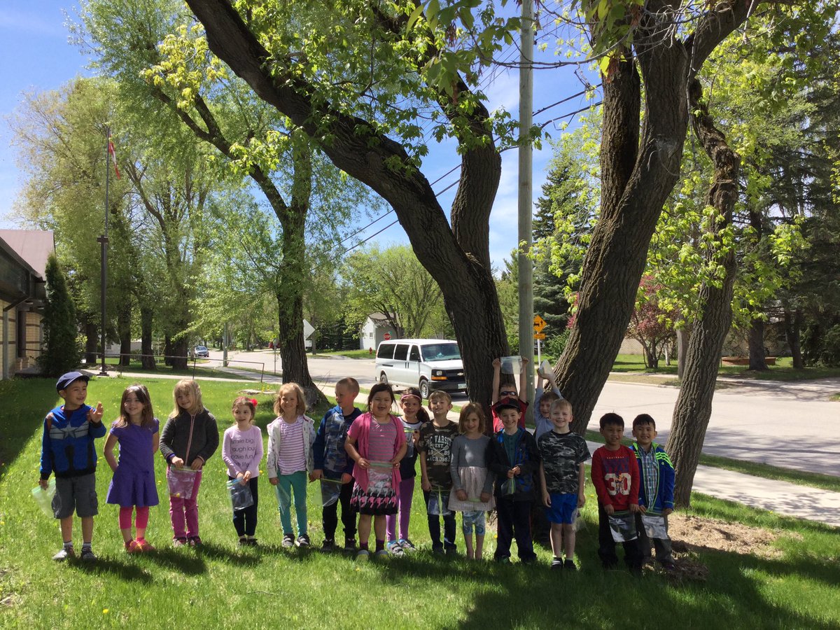 MsBottrell's tweet photo. Exploring outside! Our tree is growing leaves! #seshsd https://t.co/qJIP8L6kst
