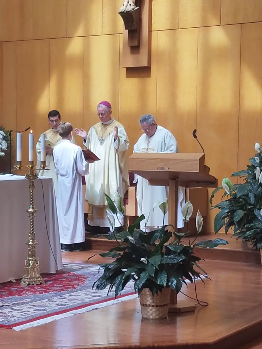 Sara_Shea72's tweet photo. #Celebrated the NWP 8th Grade #Mass with Bishop Peter Byrne this morning @StPatsYorktown @SPP_SPSBedford St. James Carmel @St_ColumbanusNY https://t.co/HE1HwFFbiP
