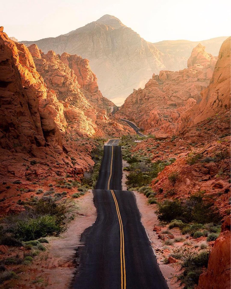 Savoteur tweet media