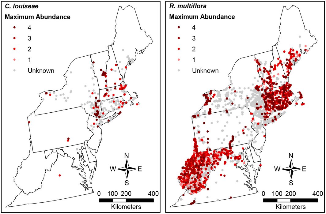 ESAEcosphere's tweet image. Evaluating proxies for #invasive plant abundance. #occurrencedata #abundancedata

onlinelibrary.wiley.com/doi/10.1002/ec…