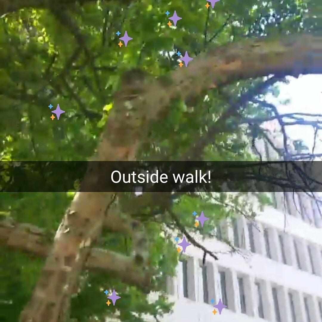 taraval0919's tweet photo. I love taking my team outside for walks when it'd nice outside!!! https://t.co/yUTv8VrdyQ