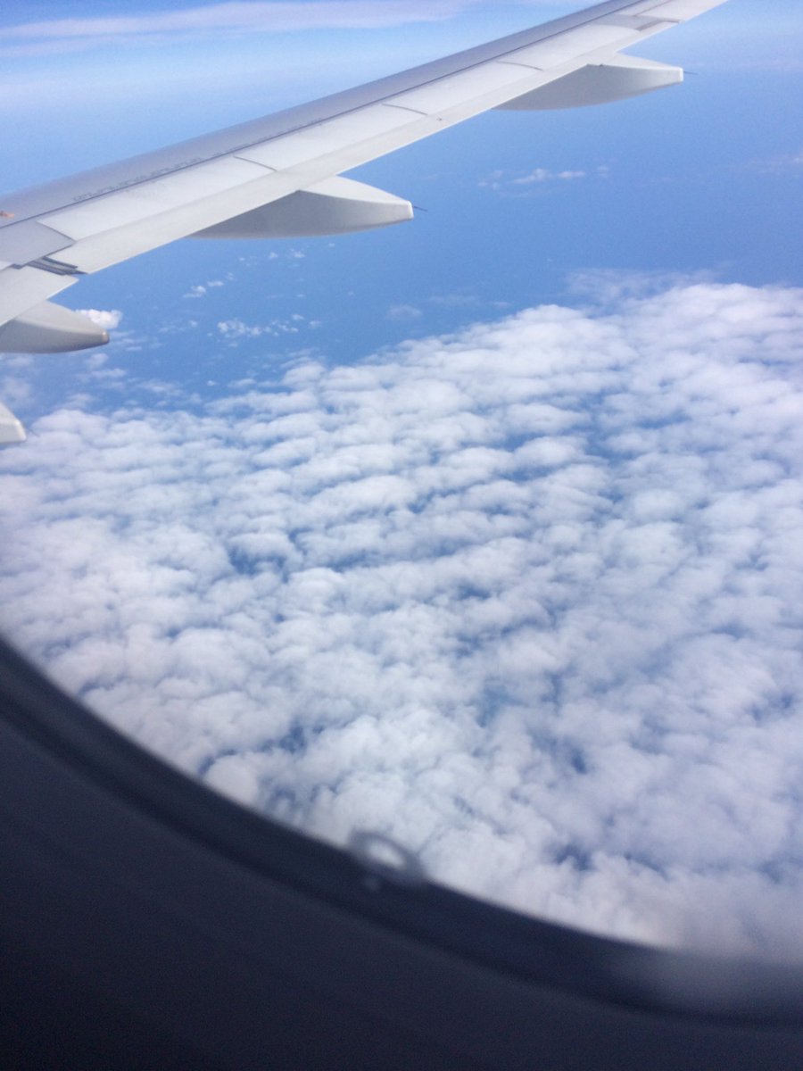 girlsgetsilly's tweet photo. ✈️👙🐬🌴🐙 https://t.co/3zDBlqq8sK