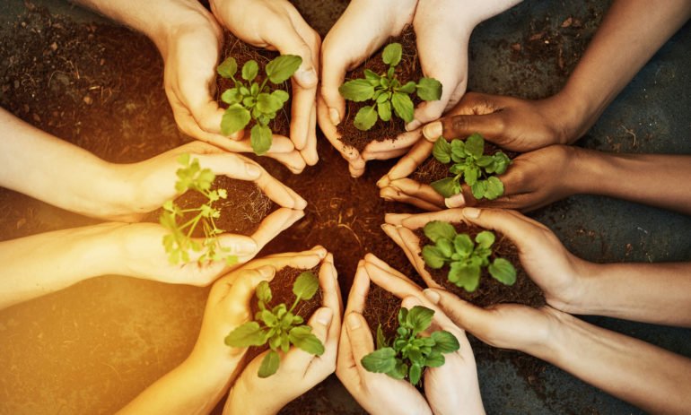 SEEDSandCHIPS's tweet photo. 17 #Food heroes who are making the world a better place 
https://t.co/8bUOFK9wic
#FoodInnovation #FoodTech #FutureOfFood https://t.co/65ZhWe4Aqi