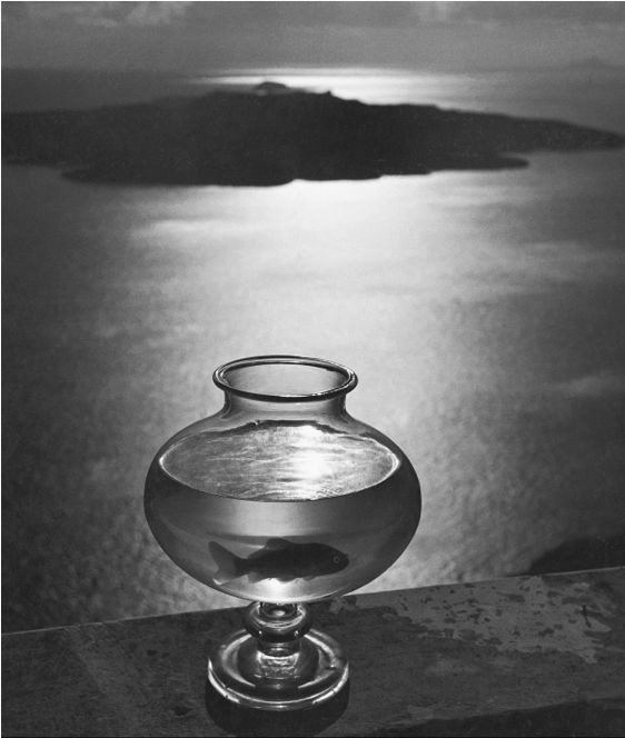 Herbert List