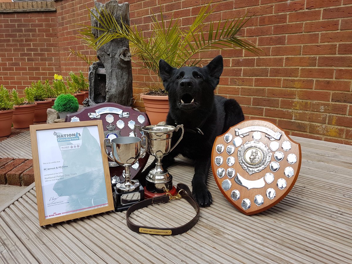 NPDT Tri Force 2017 tweet media