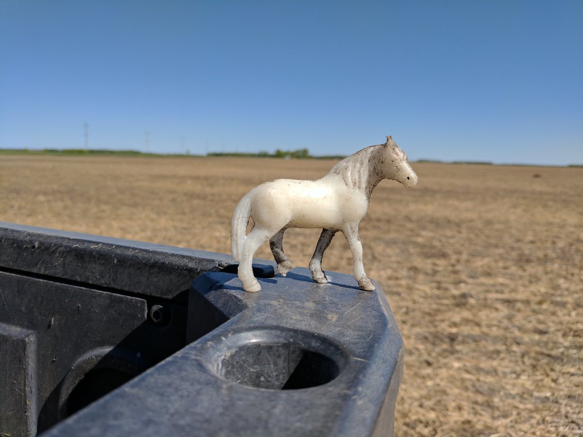 TLCourt's tweet image. I love the little treasures you can find out in the field. #oldyardsite #scout17