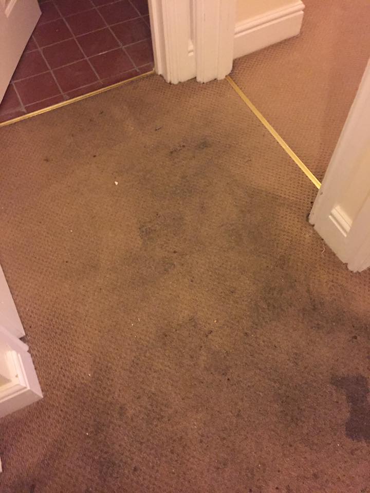 SwiftC_UK's tweet photo. #SwiftCleaningUK  techs have today been out working there magic! #carpetcleaning #workingourmagic #carpet #upholstery #curtains https://t.co/8dMqXhmHsb
