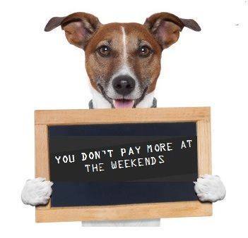 DigitizingMagic's tweet image. We are open on weekends for the same cause at the same cost!

#Magic_Digitizing