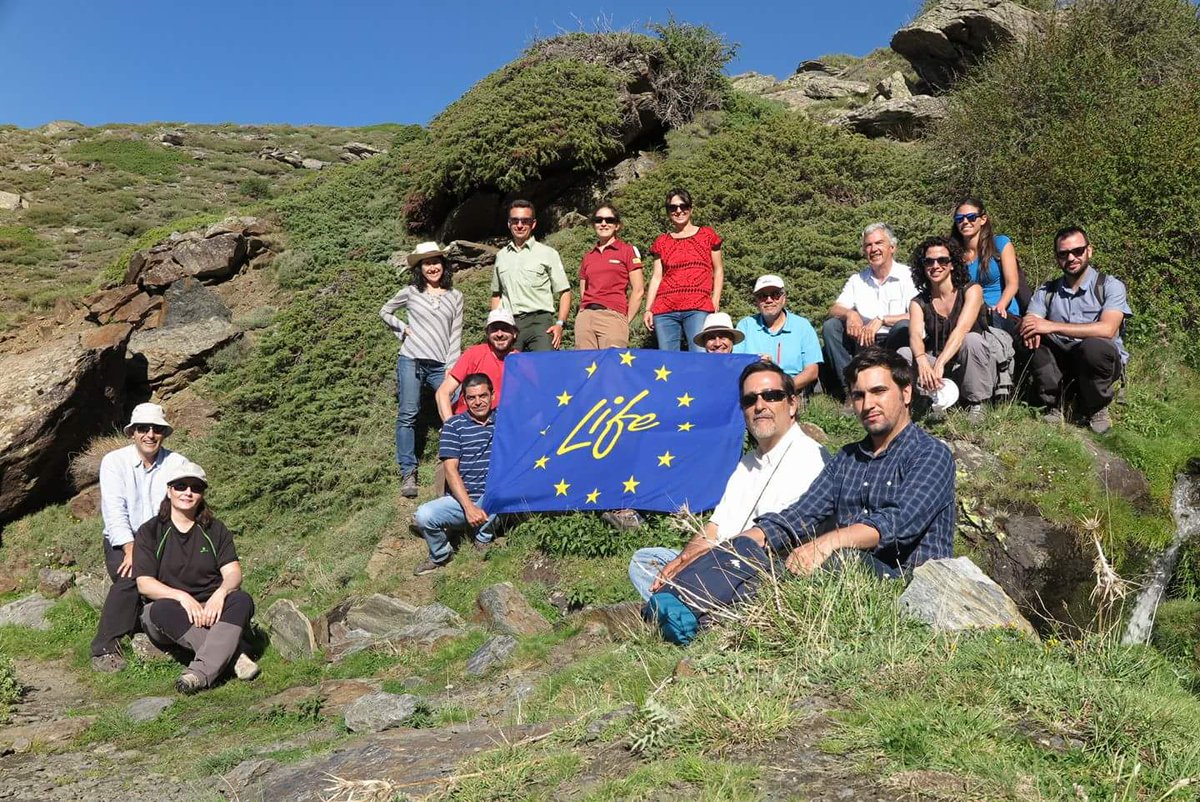 ajpelu's tweet photo. Visita de campo del proyecto .@lifeadaptamed para conocer los servicios ecosistémicos que nos aportan los enebrales de .@SNevada_Parque https://t.co/bekaBi3kWL