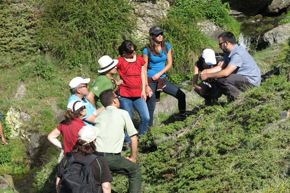 ajpelu's tweet photo. Visita de campo del proyecto .@lifeadaptamed para conocer los servicios ecosistémicos que nos aportan los enebrales de .@SNevada_Parque https://t.co/bekaBi3kWL