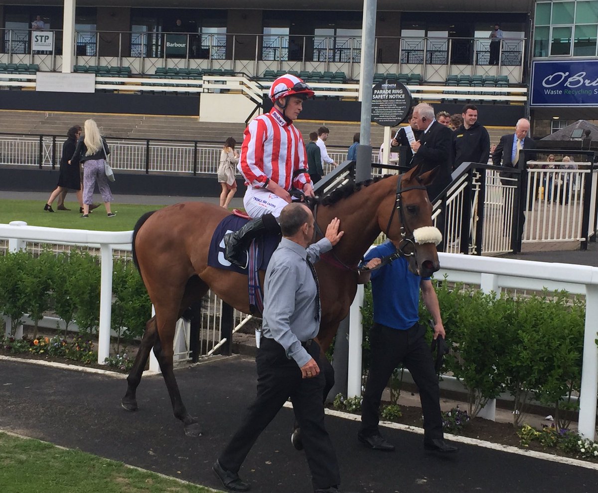 Newcastle Racecourse tweet media