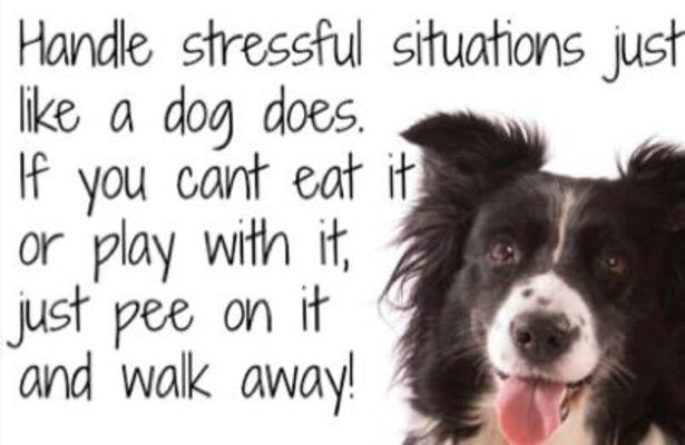#TuesdayThoughts #tuesdaymotivation you're welcome