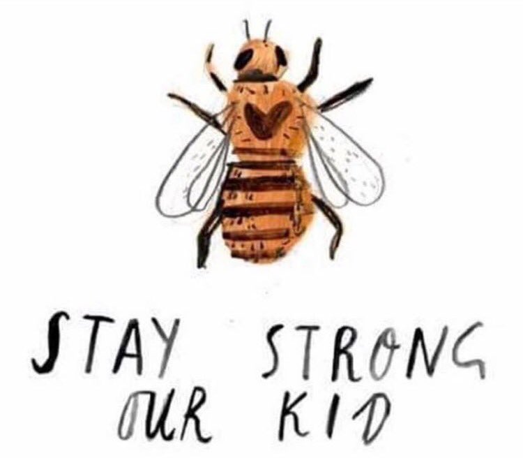 hthistle93's tweet photo. 💔 https://t.co/qMBnod60xY