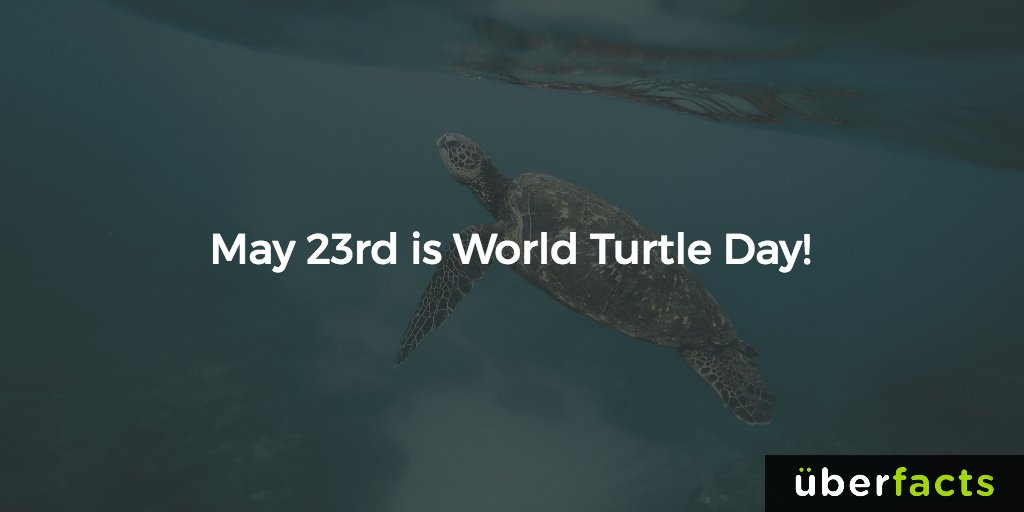 UberFacts tweet media