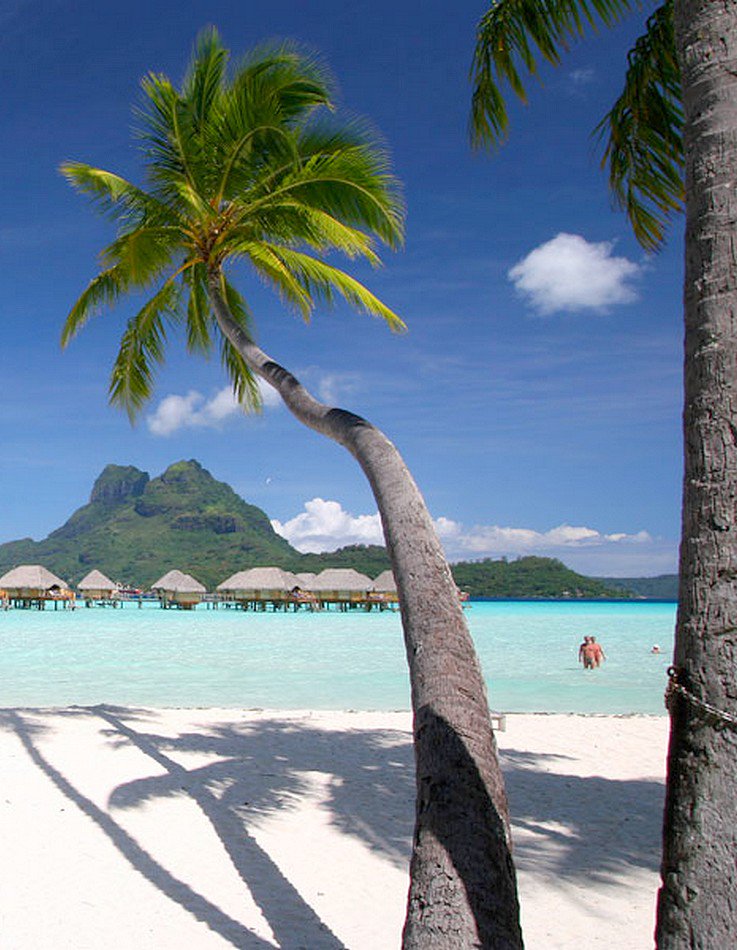 borabora_s's tweet photo. #borabora Beautiful and Romantic islands
☀ @borabora_s https://t.co/c7nD4wxW6w