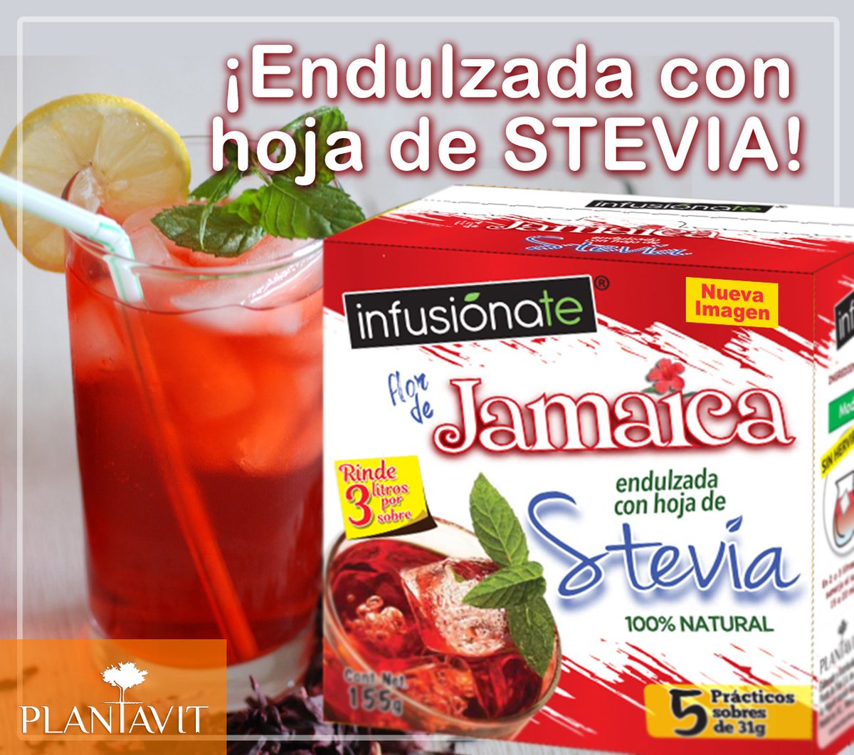 PlantaVit_Mty's tweet photo. #ConEsteCalor un delicioso vaso de jamaica 100% Natural endulzado con stevia. #plantavit https://t.co/kgIeX5RZBs