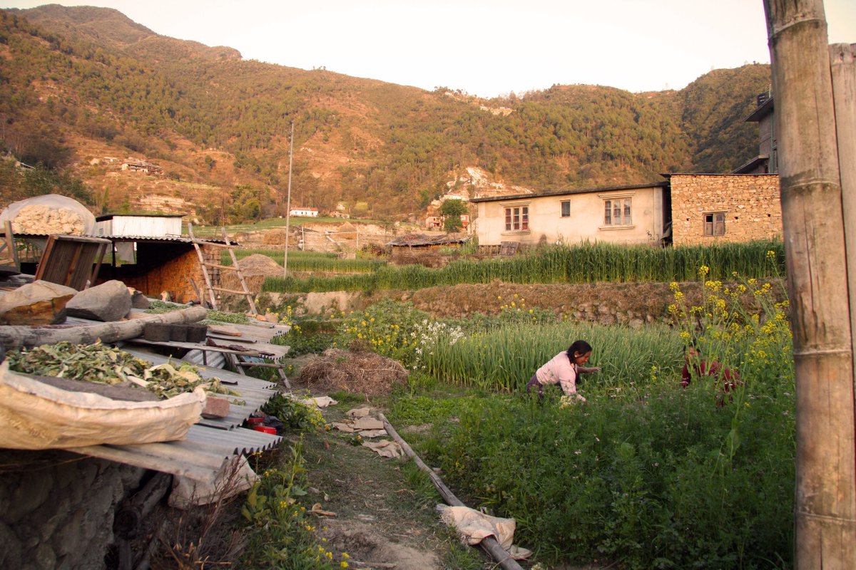 Our weaving mills are the foot of the Himalayas, Nepal. #TravelTuesday #InteriorDesign #ISDD#ICFF