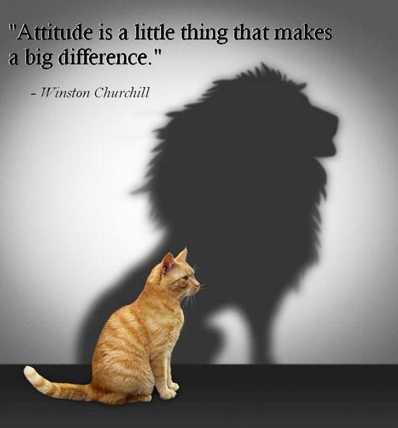 Nancymutheu14's tweet photo. #ToMyOwnUnderstanding
"Attitude is a little thing that makes a big difference. "☺☺☺☺ https://t.co/8UgT6yqpJr