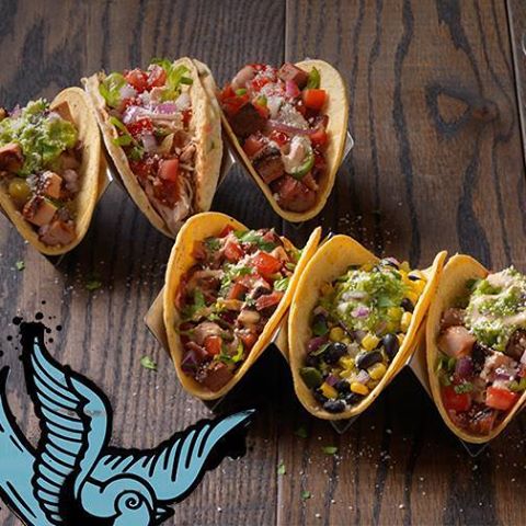 QdobaKnox's tweet photo. Hey everyone! Taco Tuesday is back again! TUES all tacos are a dollar off at our Kingston Pike location. This includes all Knockout tacos! https://t.co/ZHMPsNYy3B