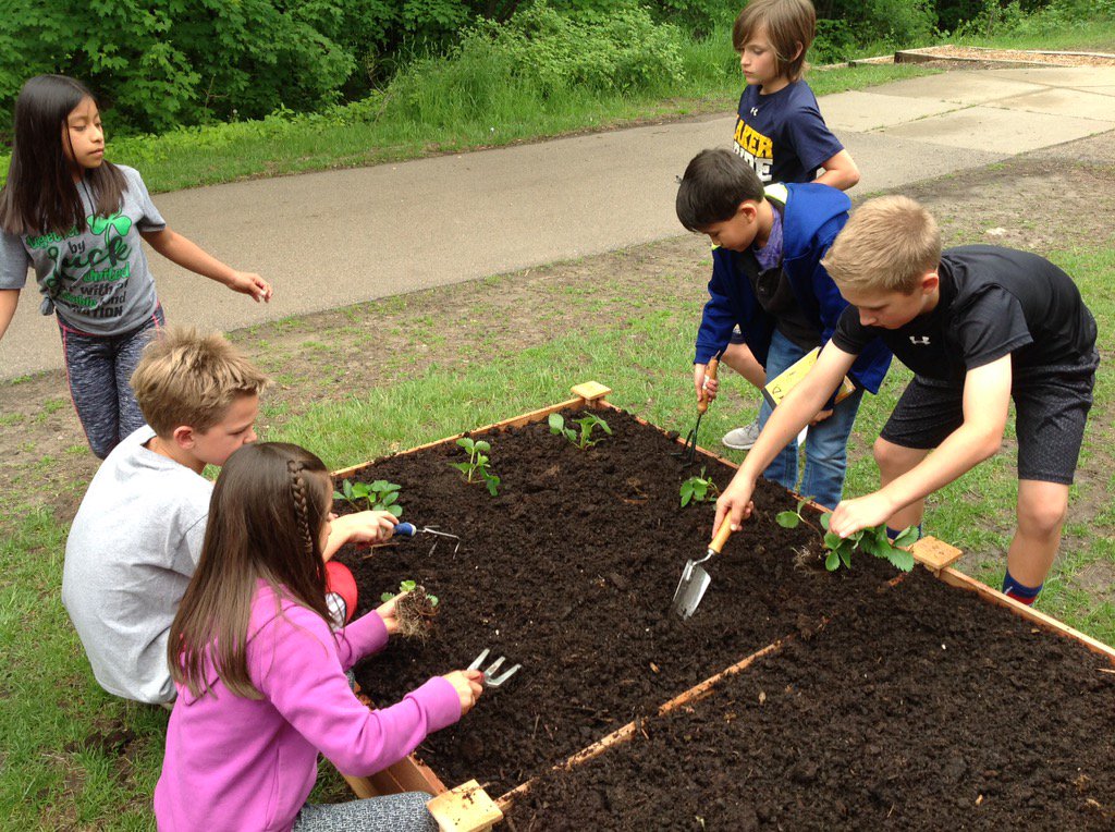 SarahSbowman's tweet photo. FH garden is planted! #farmtotable #WeArePLSAS #fivehawks 
@laura_hageman 
@timbell45 https://t.co/UArlicfwTx
