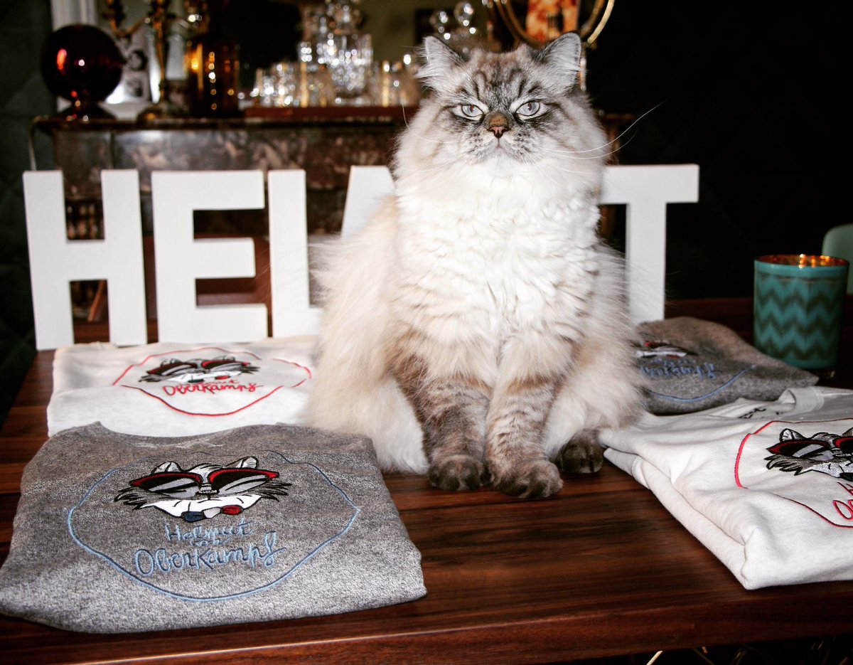 HelmutOberkampf's tweet photo. Merci à @la_causette_B pour son article sur son blog! 😻😽 https://t.co/rue8mEf6Q5 https://t.co/gKVlhlboQd