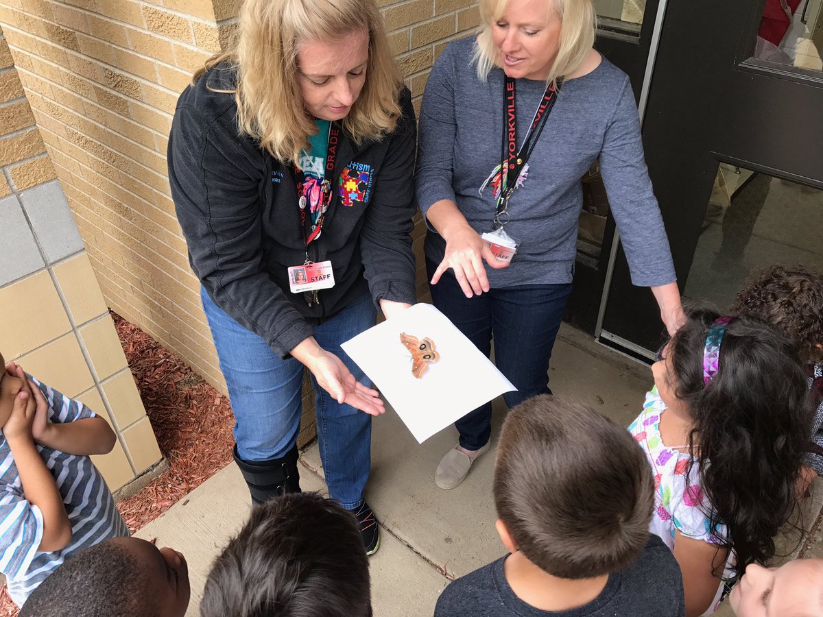 KindFirst108's tweet photo. Today we learned about butterflies and moths. We were able to examine a giant moth. So awesome!#Explorebgs https://t.co/SEZM9he3fB