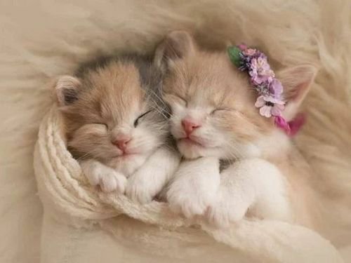 <a href="/pintsize73/">Marie</a> ❤🌟❤🌟❤🌟❤Good night dearest Marie,  Thanks sooo much for all sleep well into a peaceful new day ❤🌟❤🌟🌟❤🌟❤🌟❤