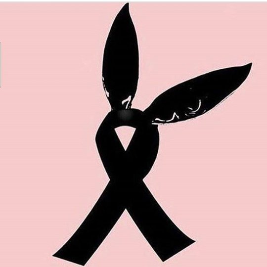 RuthPcheco's tweet photo. #PrayForManchester 
No paremos de soñar y trabajar por un mundo mejor, donde podamos vivir sin temor y sintiendo tranquilidad  💐 https://t.co/wzU8pm6vYp