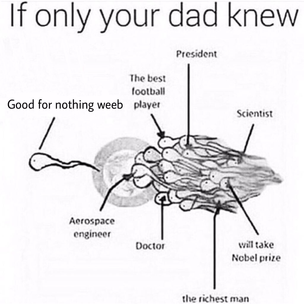 BoofBaldy's tweet photo. https://t.co/J9RhuXF02v