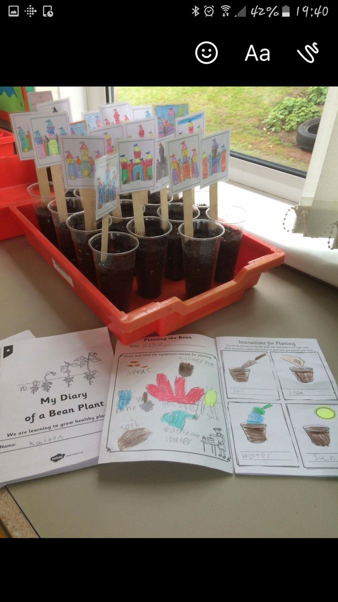 FerrydenPS's tweet photo. #P2FerrydenPS are keeping a close eye on our broad beans. We are keeping a diary of events too. Some have already started to grow! https://t.co/vBmu6YPCuW