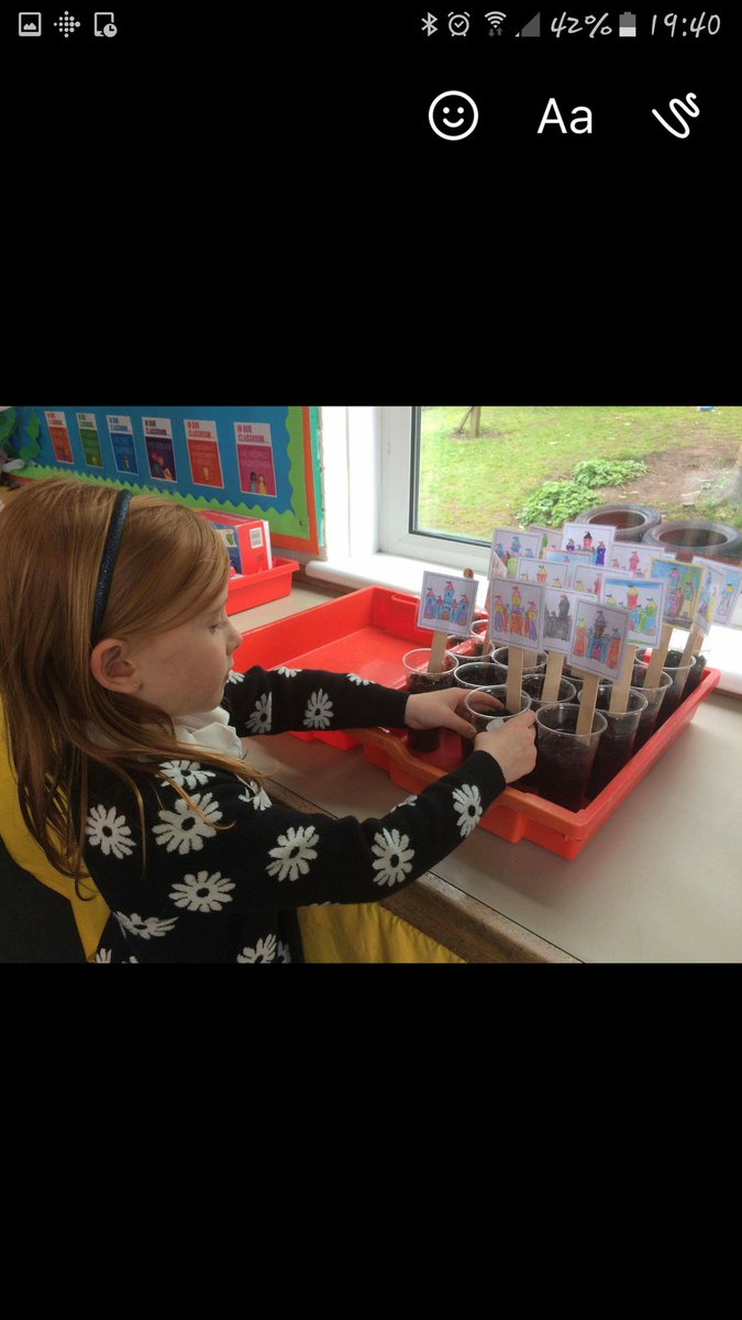 FerrydenPS's tweet photo. #P2FerrydenPS are keeping a close eye on our broad beans. We are keeping a diary of events too. Some have already started to grow! https://t.co/vBmu6YPCuW