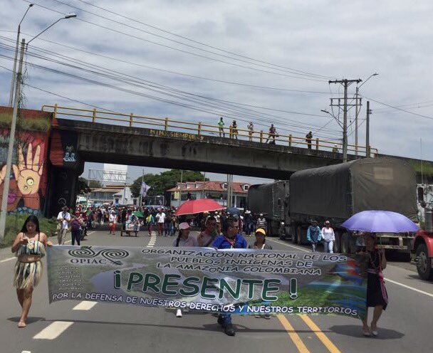 JairoOviedo1's tweet photo. La @MPCindigena marcha. #LaConsultaSeRespeta #MingaPorLaVida  la fuerza de los bastones no se detiene. Vamos pueblo carajo! https://t.co/Ef0VBcpTVO