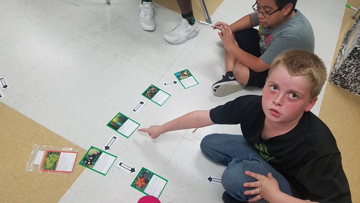 Gallowayelem's tweet photo. Mrs.Riley's 4th graders creating food chains within an ecosystem. So much discussion, debate and thinking! #Gallowaylife #floodthefeed https://t.co/N4IfeAE2tP