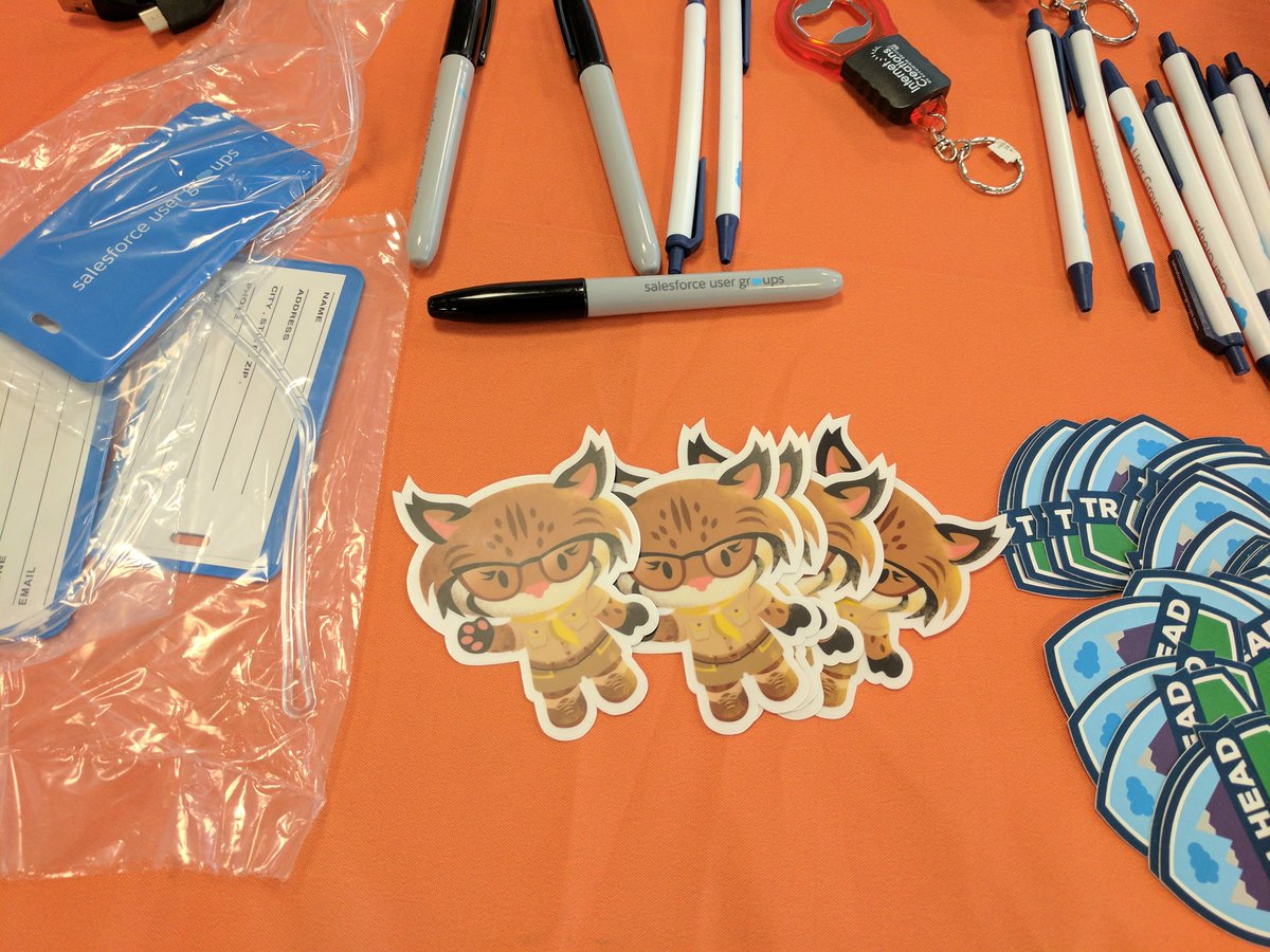 anthonypica's tweet photo. I've got some fun swag for tonight's NJ User Group meeting! Join me as @Force2b_Mike talks Salesforce Lightning #salesforceNJusergroup https://t.co/X756sX3JbI