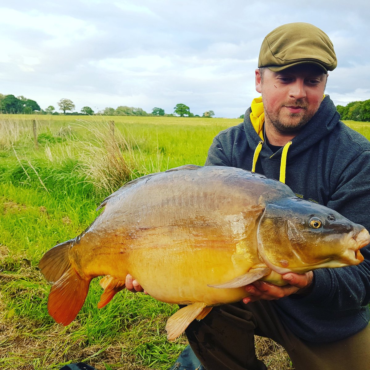 D88lewis's tweet photo. Couple pictures of a stunning mirror from the new syndicate. #FinForce https://t.co/pWySAmxevL
