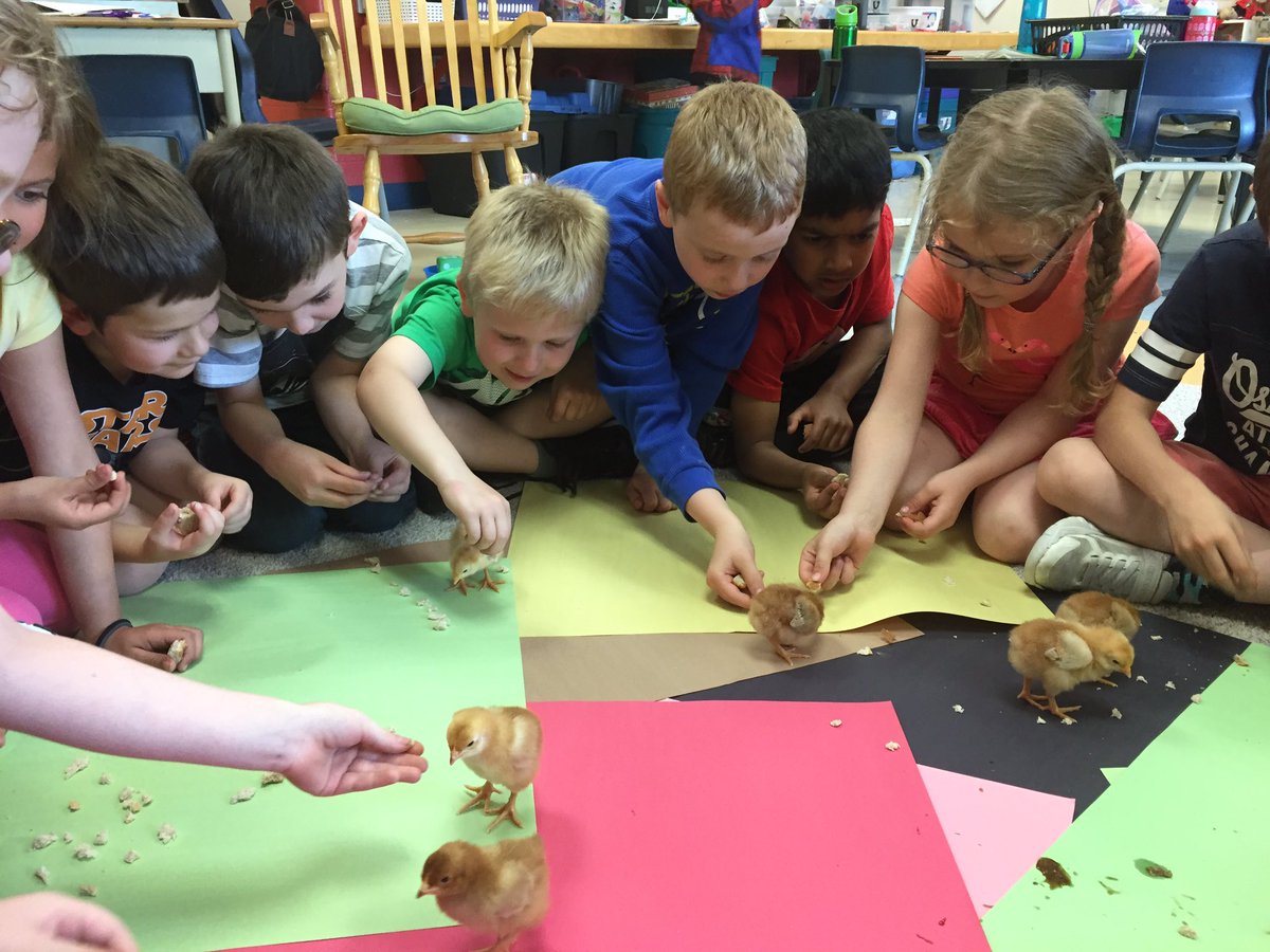 Grade1SD tweet picture