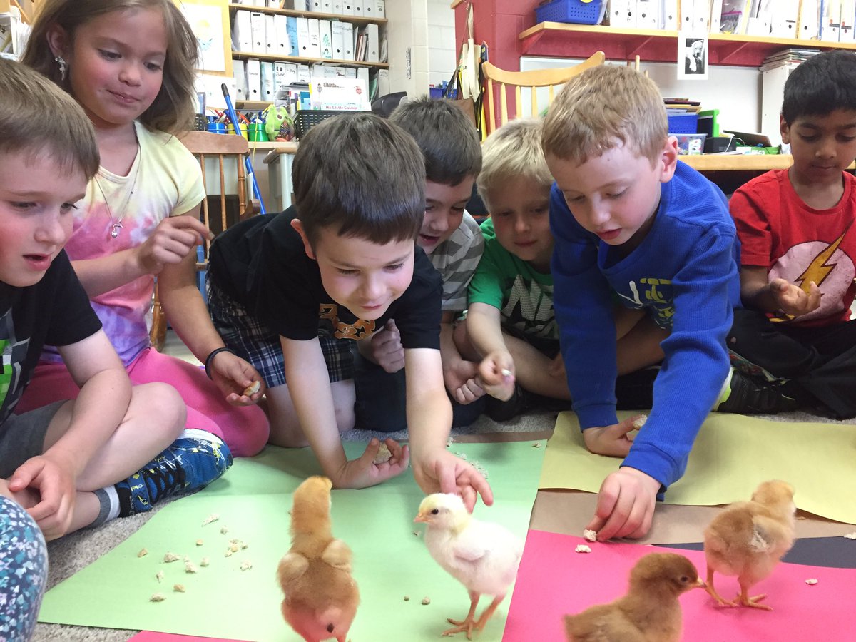 Grade1SD tweet picture