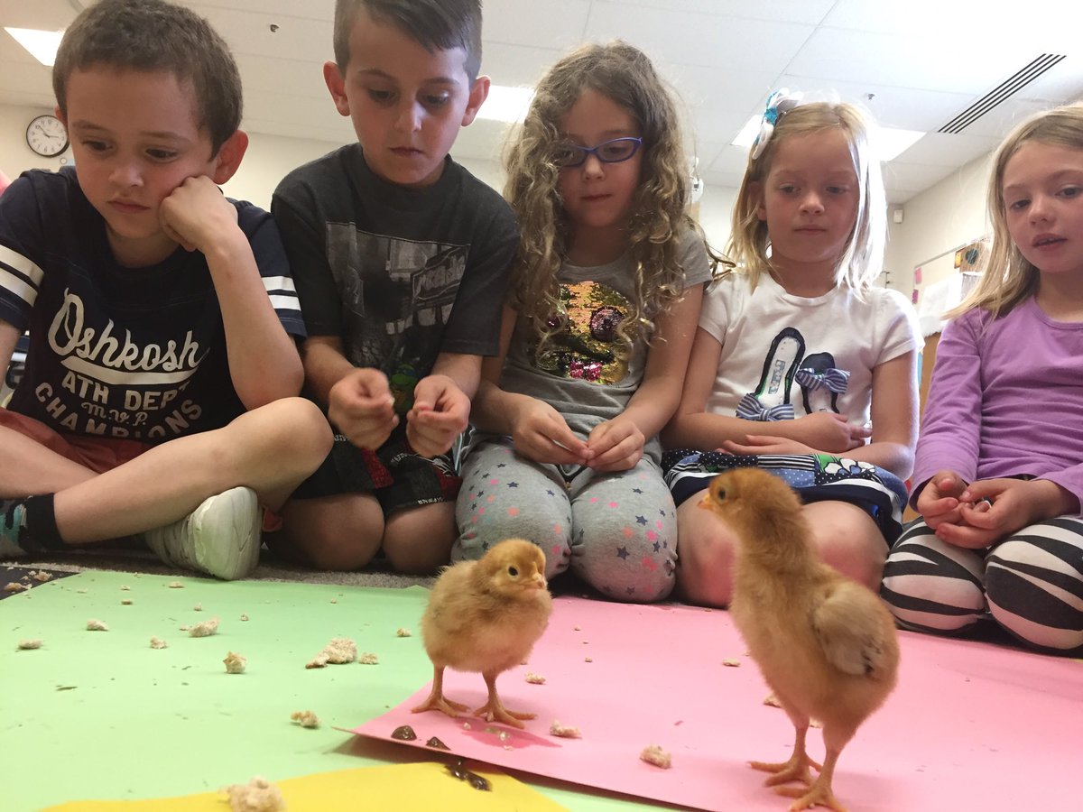 Grade1SD tweet picture