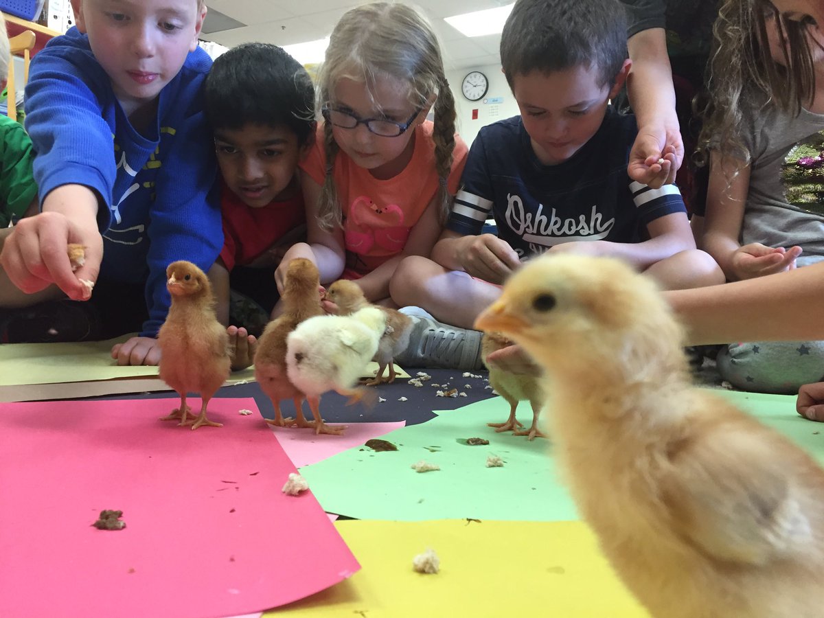 Grade1SD tweet picture