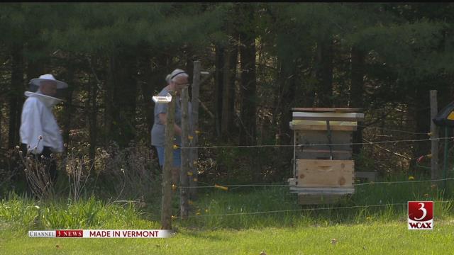 FleishMedia's tweet photo. This week's #MiVT Vermont Beekeeping Supply https://t.co/iRFSTKn9zz https://t.co/CwaTUAxKyD