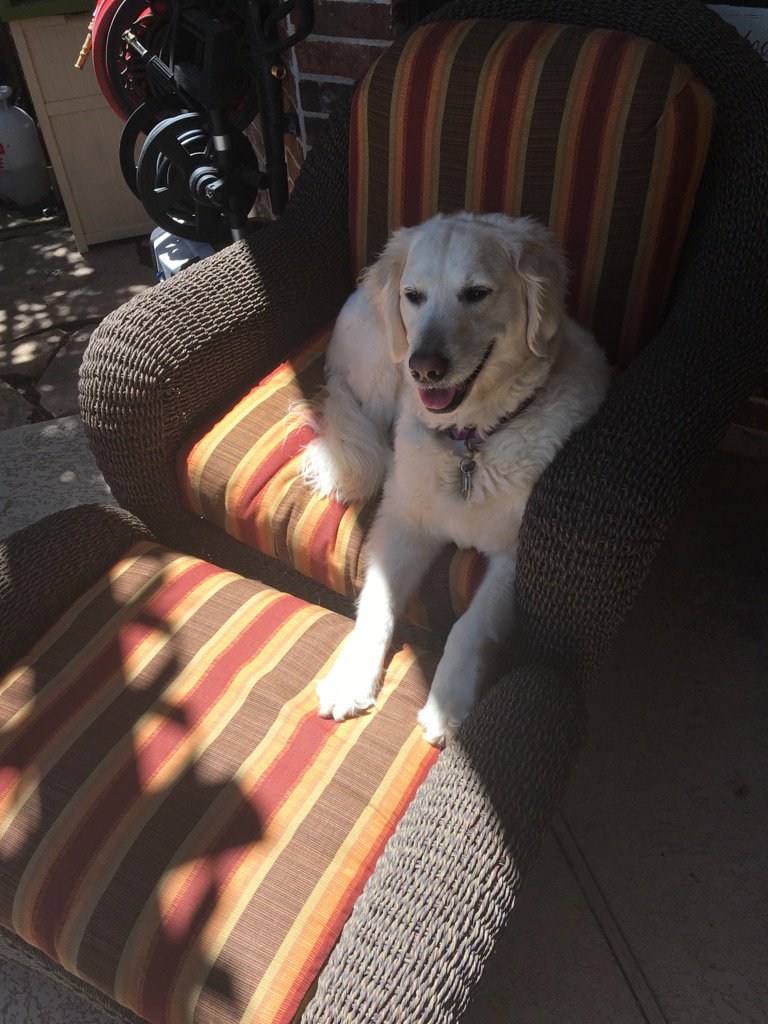 While mom <a href="/MrsKramedog/">Linda</a> &amp; dad are on <a href="/Aerosmith/">Aerosmith</a> #AeroVederci tour Lucy Kramer lounging by pool at her aunties house