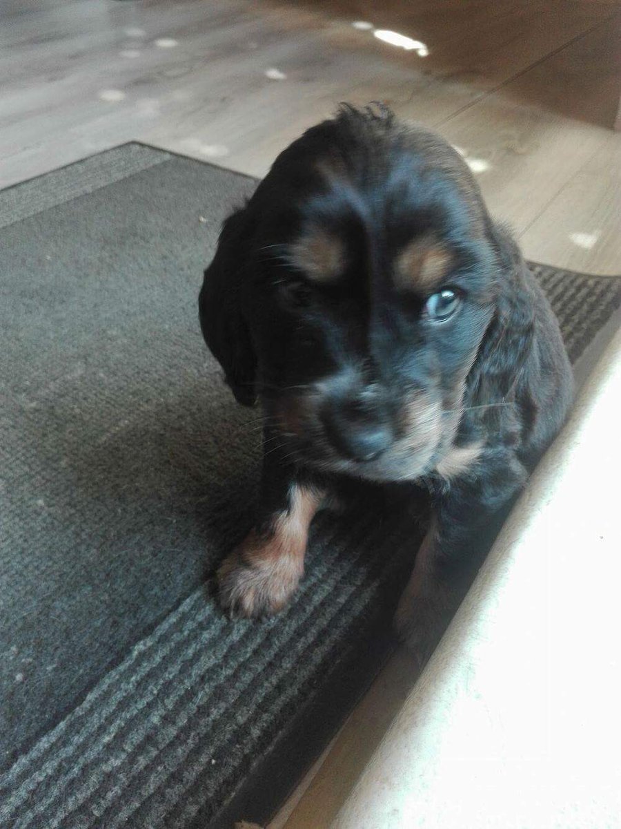 typhainegdn's tweet photo. Bebe à la maison ❤❤ https://t.co/gWOKSYqz4p