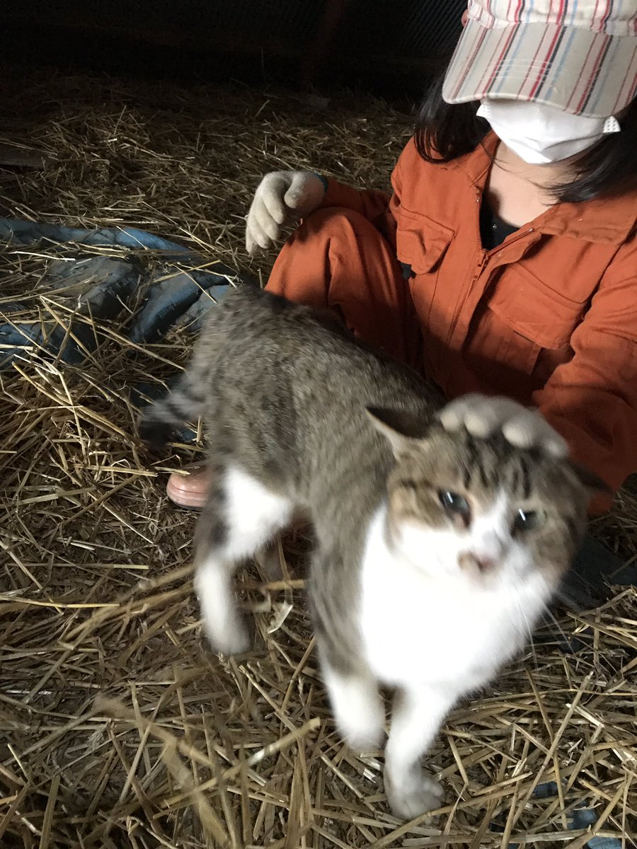 ぴさん (@pi_san777) / Twitter