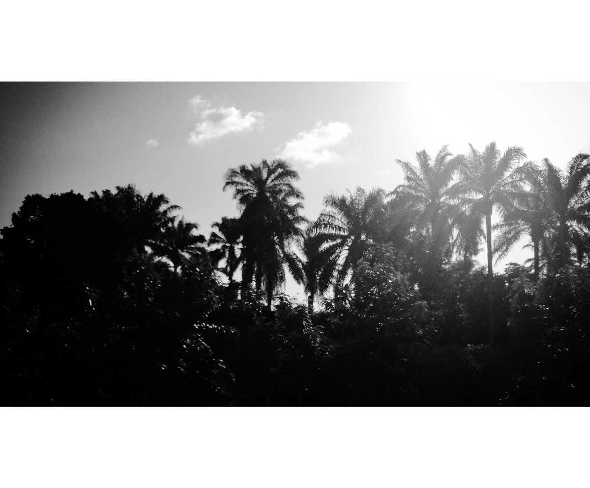 ToluOlarewaju's tweet photo. #Art #Photography #IphonePhotography #CameraTales #ThroughtheLens  #Travels #WallArt #ClickClick #Tourister https://t.co/A09Wcc5CDs