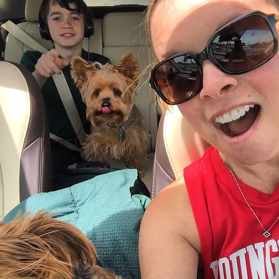 shellgolladay's tweet photo. Taking my dogs to the groomers on a perfectly beautiful day! #1sttimeforeverything #nomajorweatherevent #yay #blackwoodpetfood https://t.co/eVdy8eDUAb