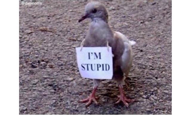 Harry Edmound (@harryedmound) on Twitter photo 